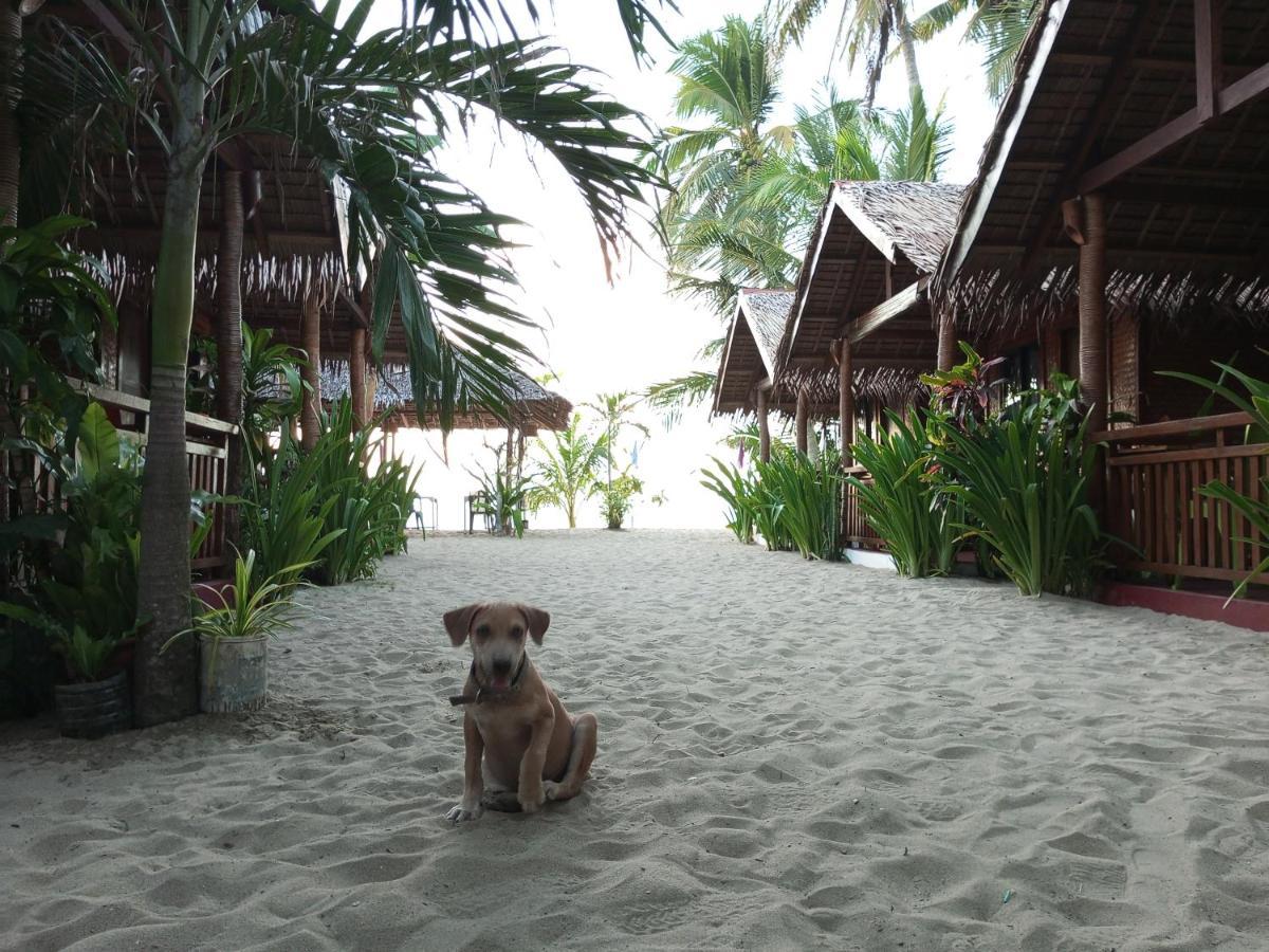Zhaya'S Beach & Cottages エルニド エクステリア 写真