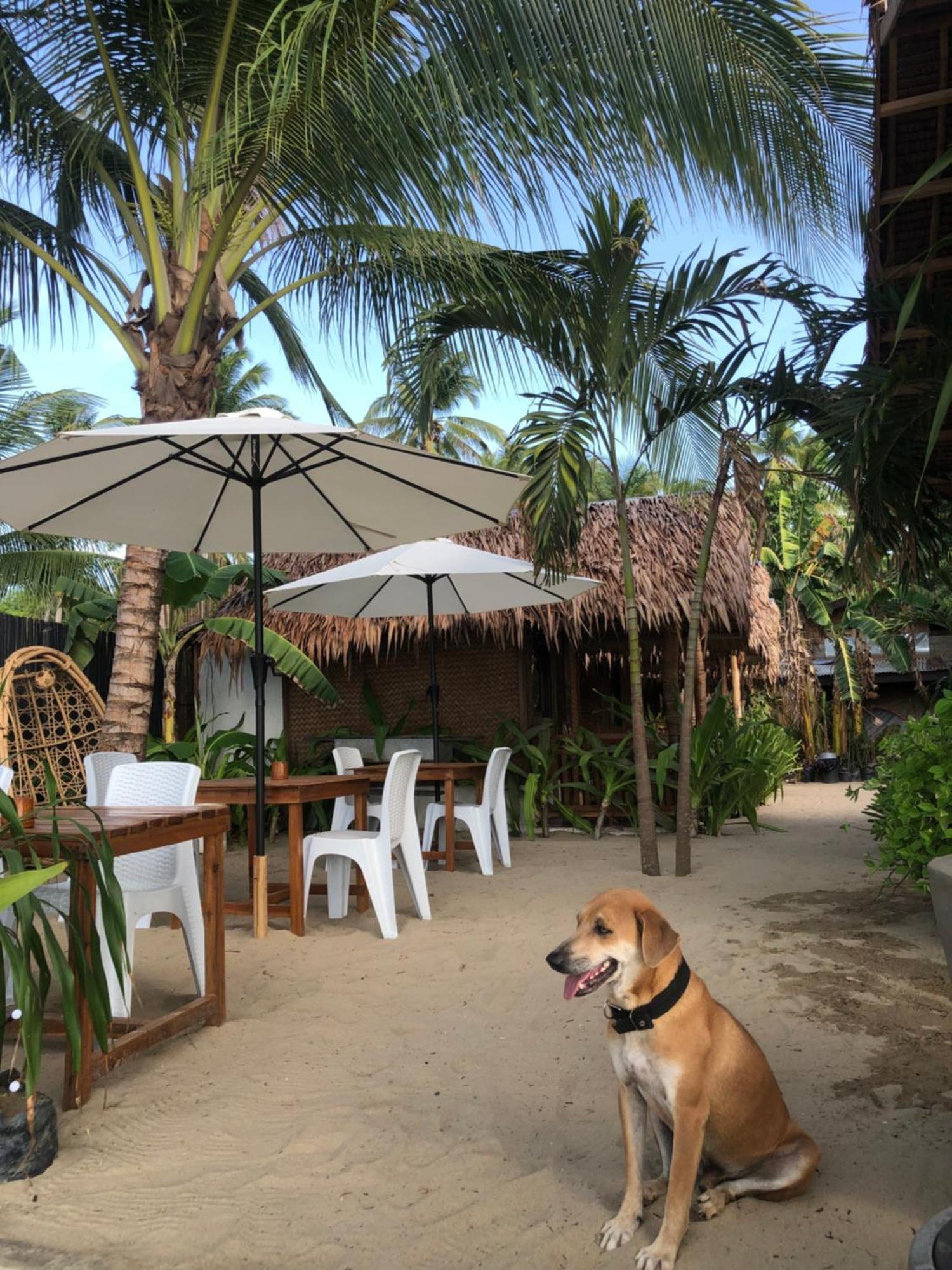 Zhaya'S Beach & Cottages エルニド エクステリア 写真