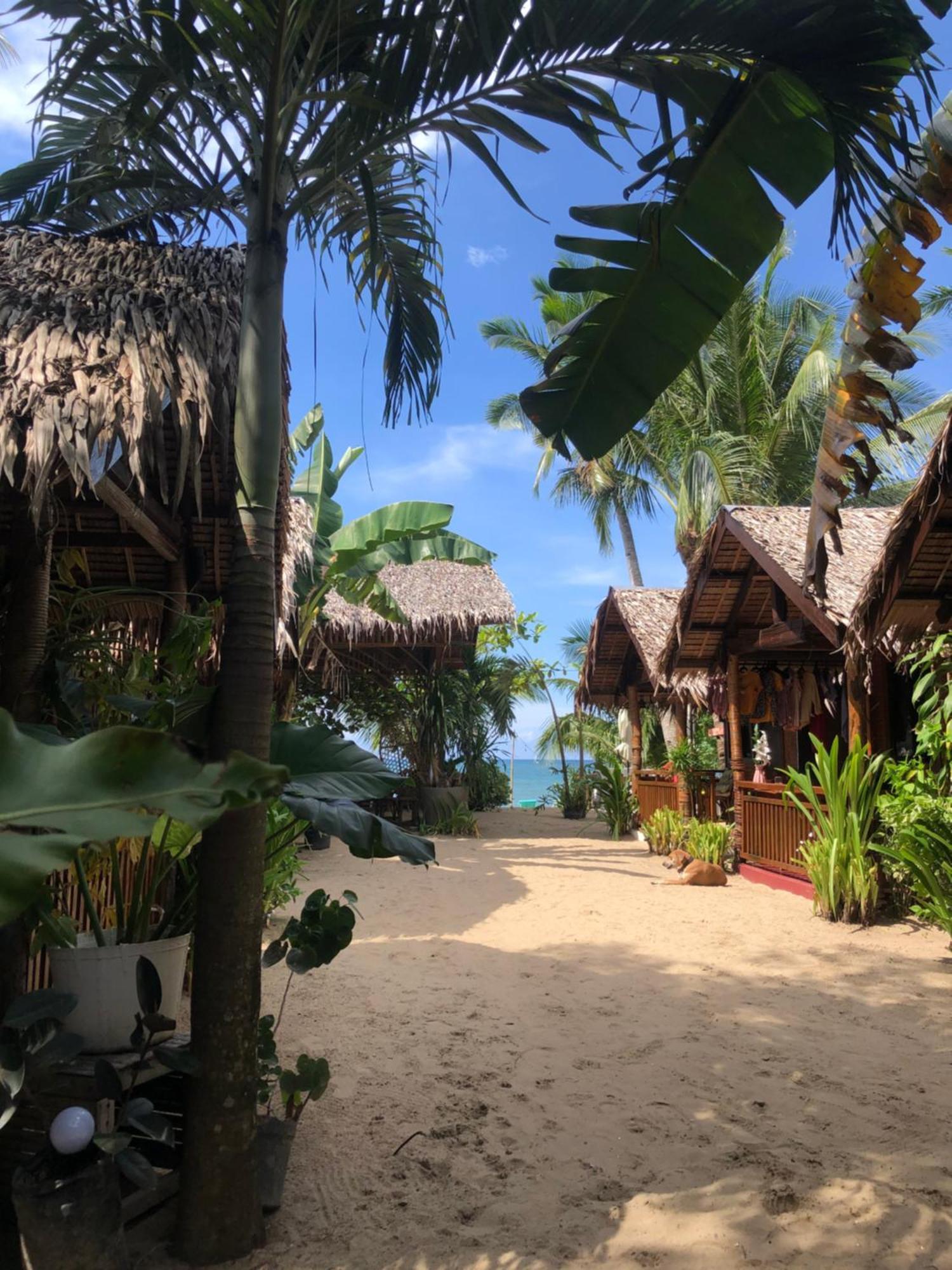Zhaya'S Beach & Cottages エルニド エクステリア 写真