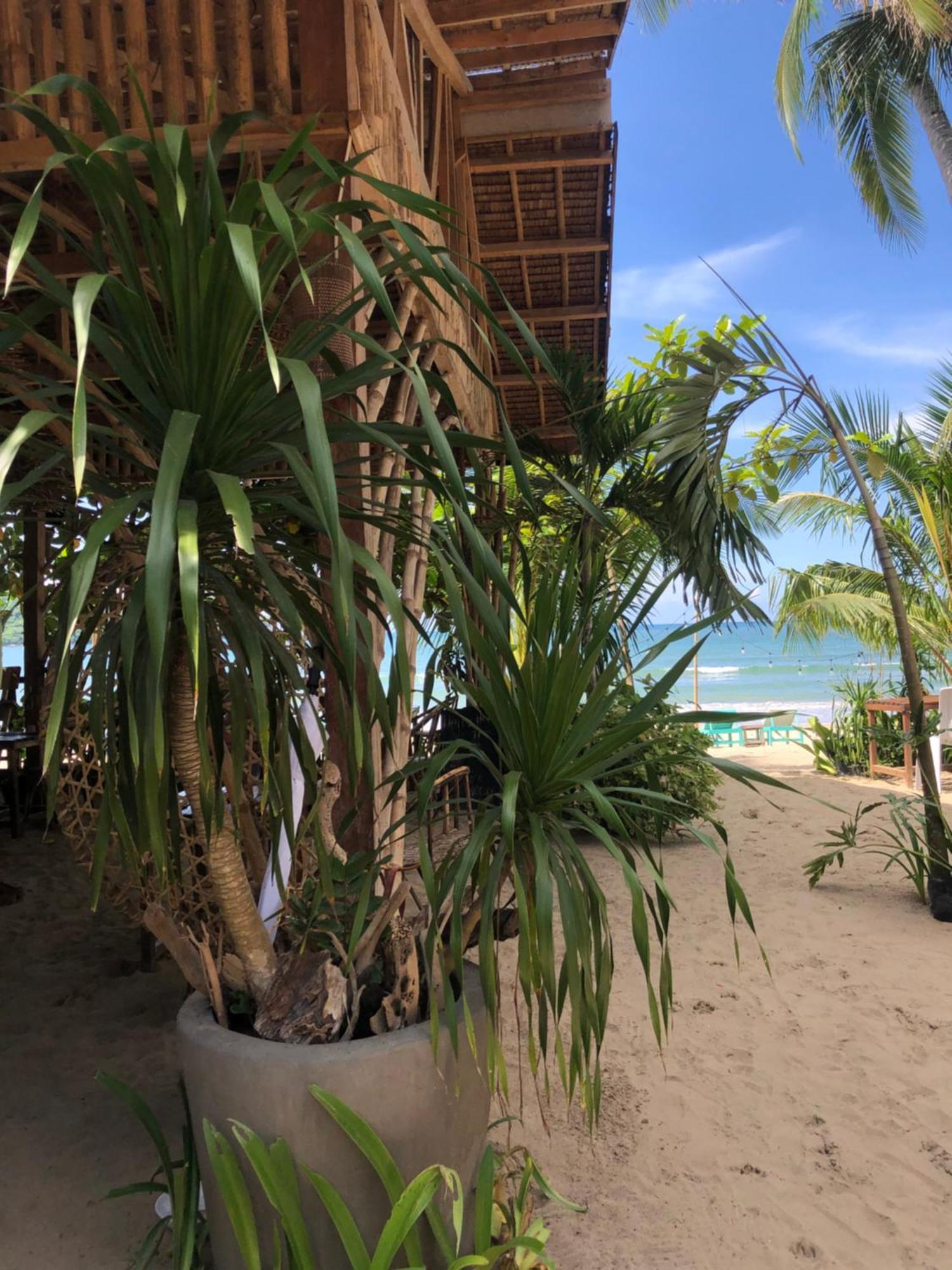 Zhaya'S Beach & Cottages エルニド エクステリア 写真